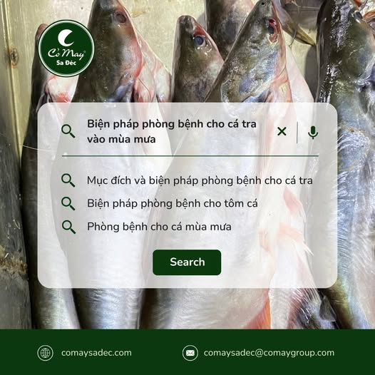 Chuyên mục hỏi – đáp cùng bà con nuôi cá- p2