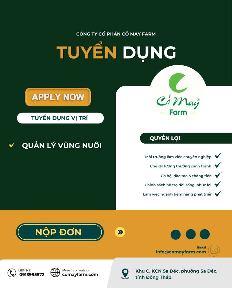 THÔNG BÁO TUYỂN DỤNG NHÂN SỰ THÁNG 8/2025